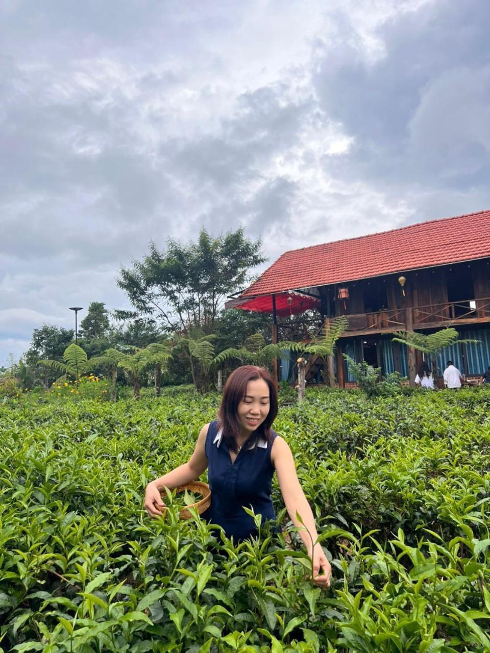 Tea Garden House Villa Bao Loc Bagian luar foto