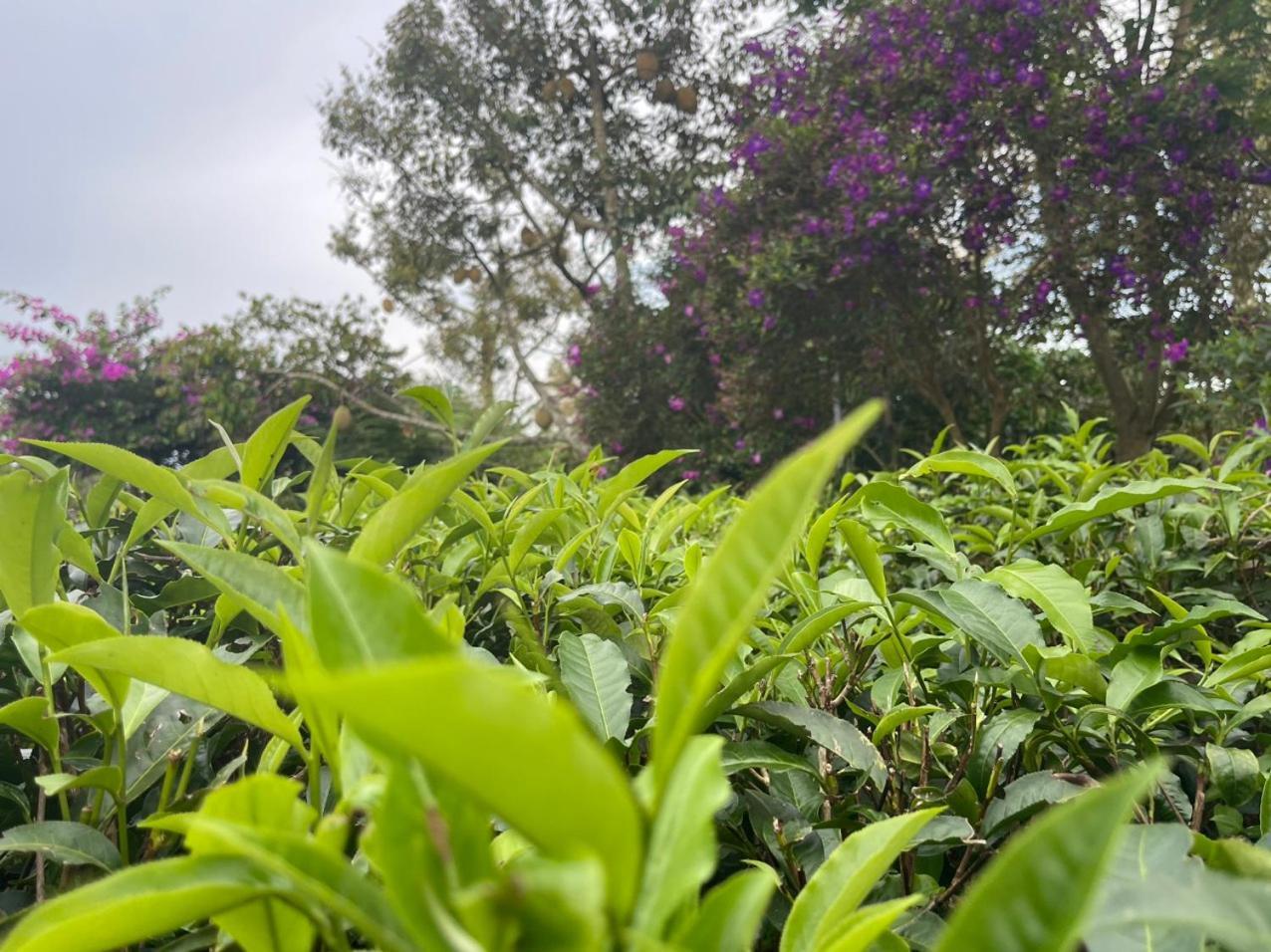 Tea Garden House Villa Bao Loc Bagian luar foto