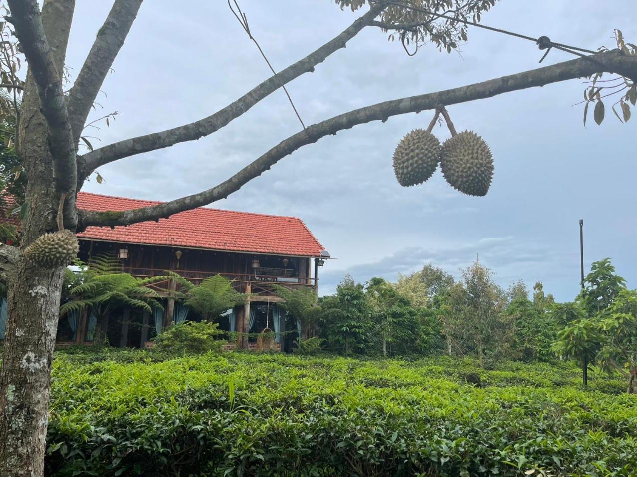 Tea Garden House Villa Bao Loc Bagian luar foto