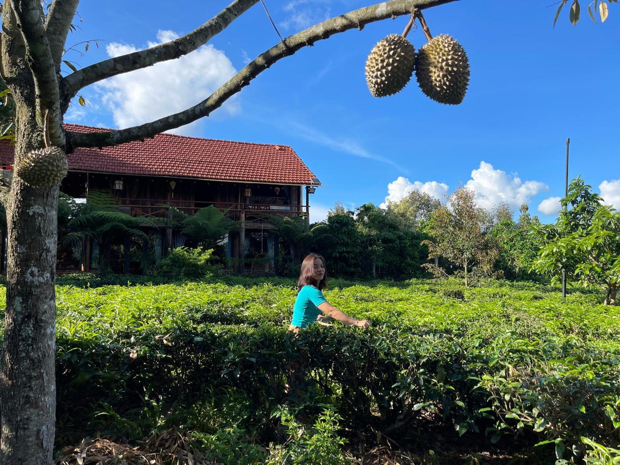 Tea Garden House Villa Bao Loc Bagian luar foto