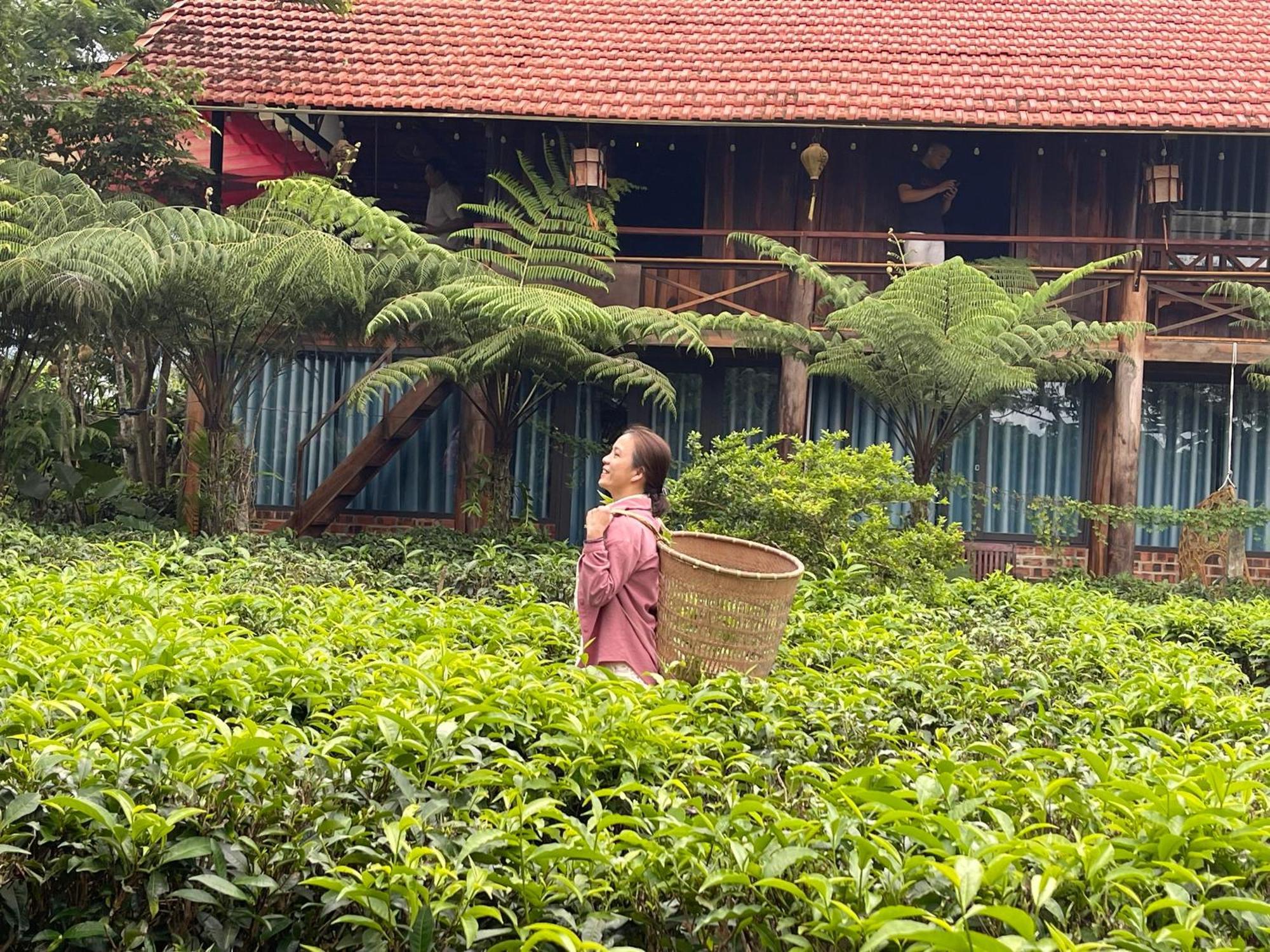 Tea Garden House Villa Bao Loc Bagian luar foto