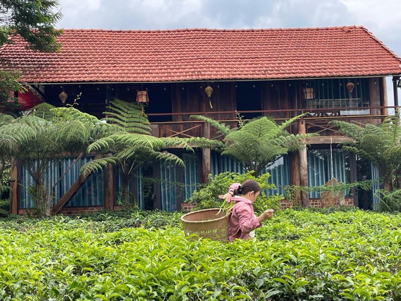 Tea Garden House Villa Bao Loc Bagian luar foto