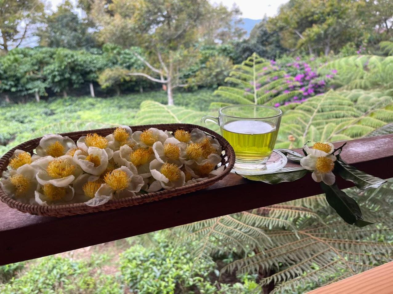 Tea Garden House Villa Bao Loc Bagian luar foto